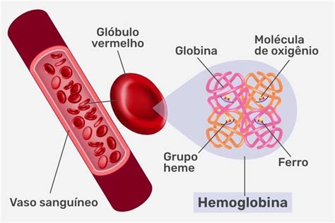 hemoglobina baixa